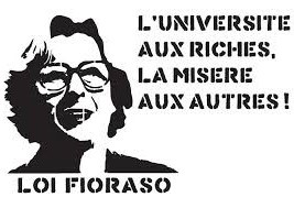 Loi Fioraso / Transformation de l’ESR, Toulouse